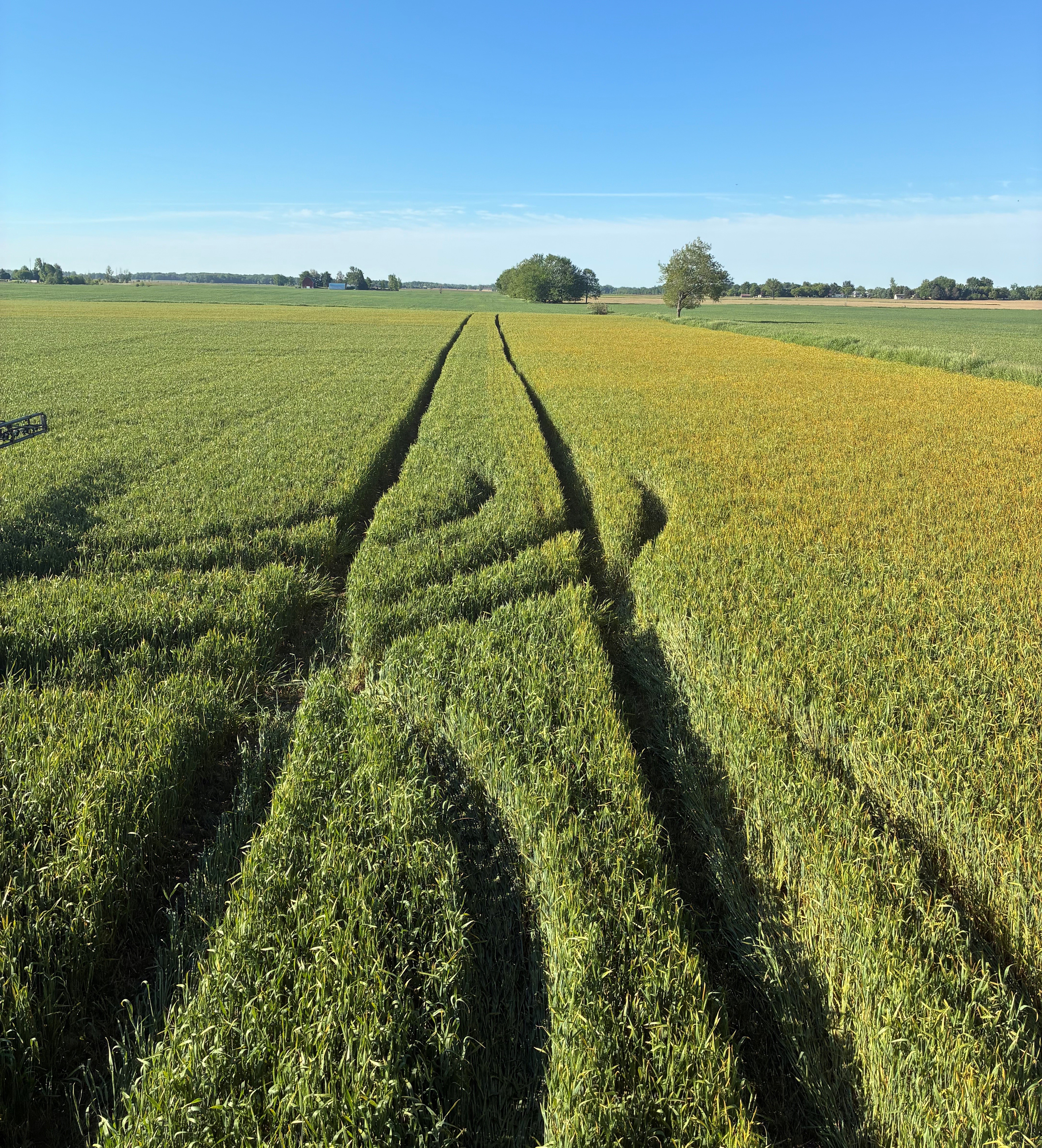 A field with tire tracks running through it. 
